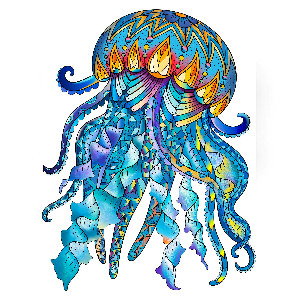 Medusa de color