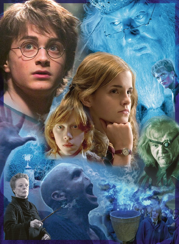 Harry Potter ( Ref:  0000014821 )