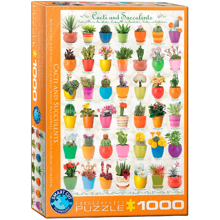 Cactus ( Ref:  0000000654 )