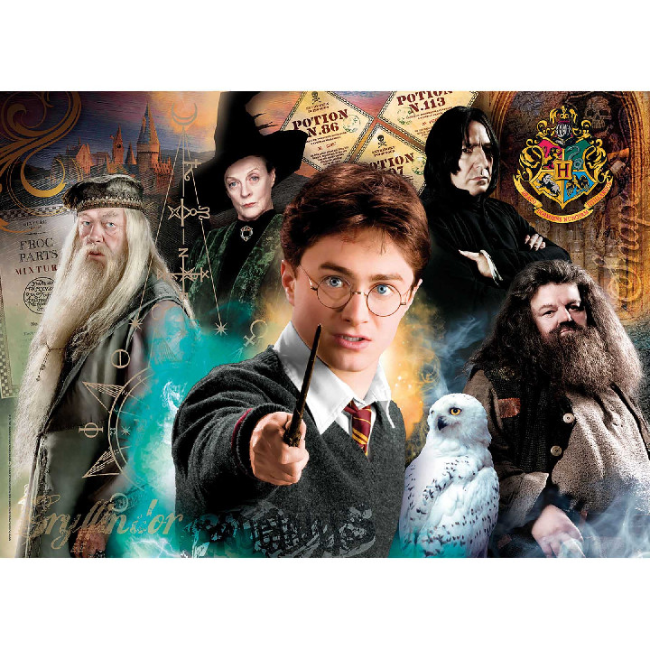 Harry Potter ( Ref:  39787 )