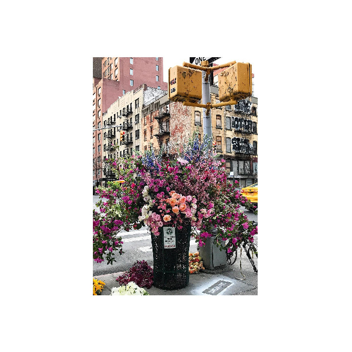 Flores en New York