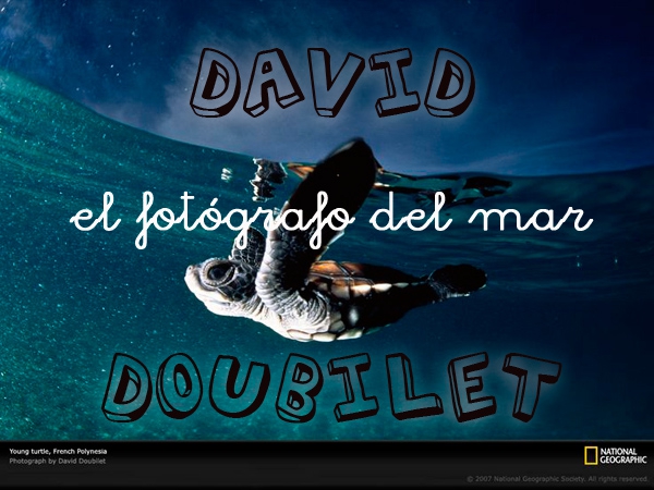 David Doubilet