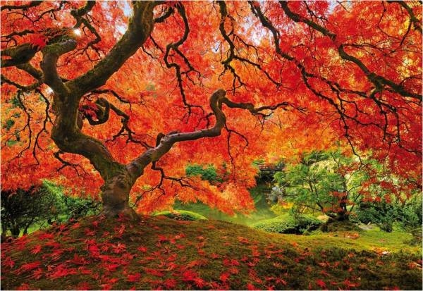 Puzzle Jardín Japonés 1500pz Educa