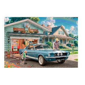 Ford Mustag Shelby Gt500