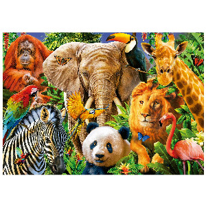 Collage de animales salvajes