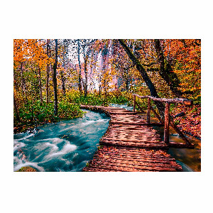 Arroyo del bosque en Plitvice
