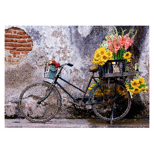 Bicicleta con flores*