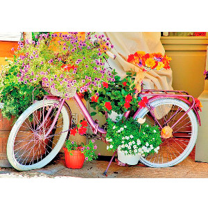 Bicicleta con flores