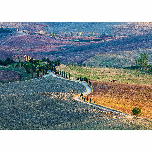 Campos labrados Pienza Siena