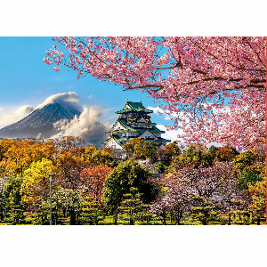 Castillo de Osaka, Japón