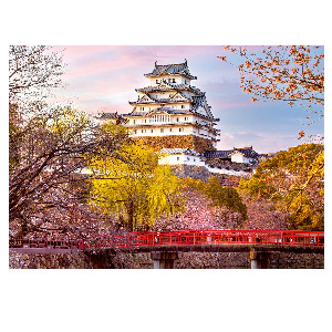 Himeji Castillo Japon