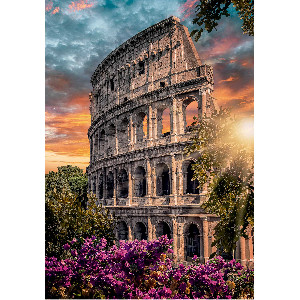 Coliseo