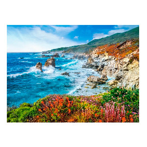 Big Sur Coastline, California