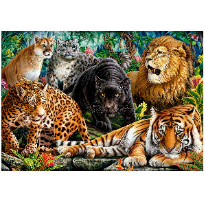 Gatos grandes