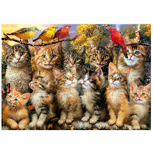 Gatitos y pajaros