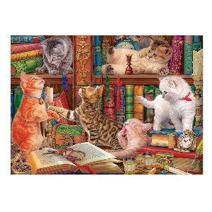 Gatos de biblioteca