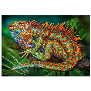 Iguana