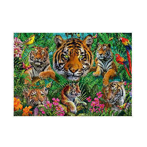 Jungla de tigres