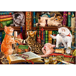 Libreria con curiosos gatos