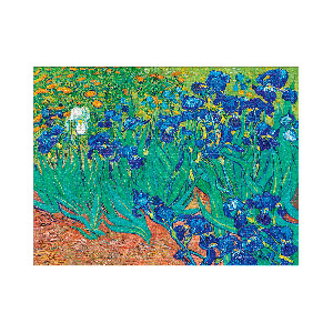 Lirios Van Gogh