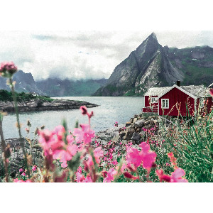 Lofoten Noruega