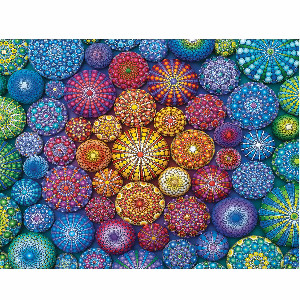 Mandala Arcoiris