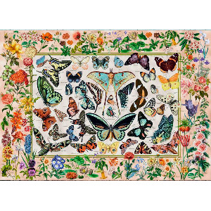 Mariposas