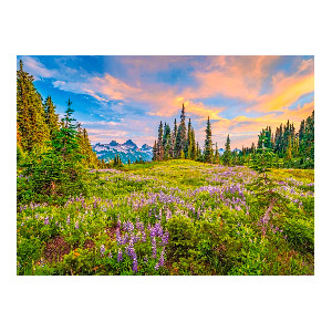 Flores en la montaña