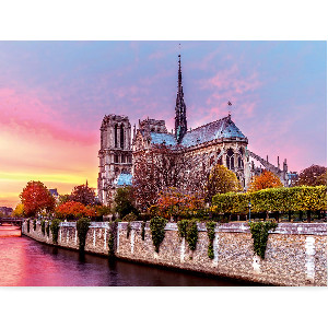 Notre Dame Paris