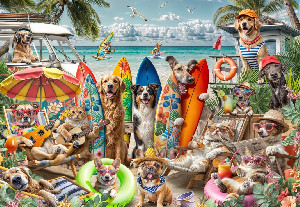 Perros y gatos en la playa