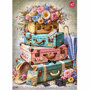 Preparados para viajar