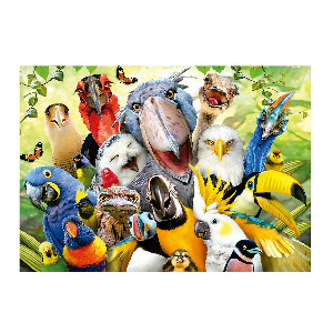 Mira al pajarito*