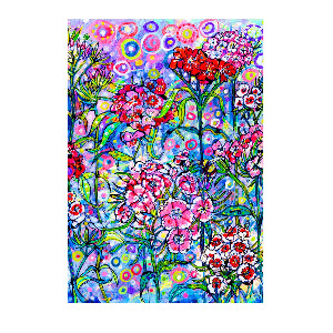 Sweet William