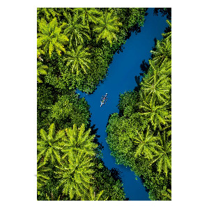 Vista aérea del trópico*