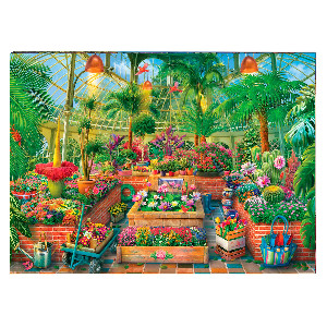 Vivero de flores y cactus