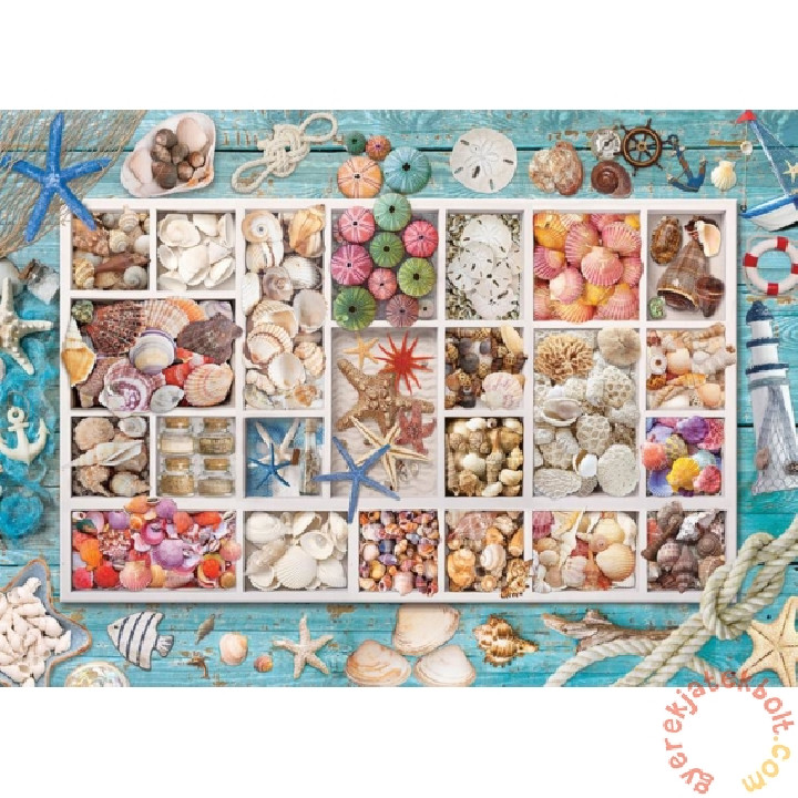 colección de caracolas ( Ref:  6000-5529 )