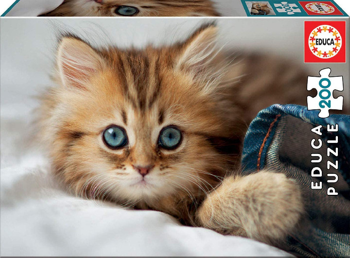 Gatito ( Ref:  17154 )