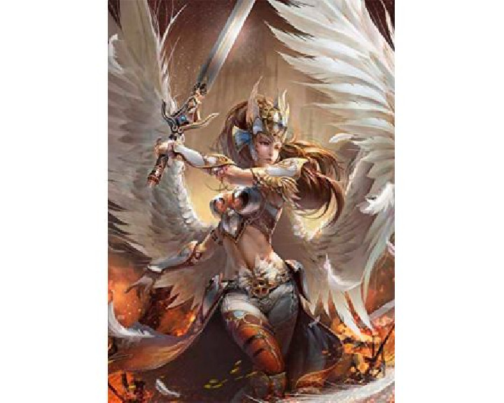 Angel Warrior ( Ref:  0000018858 )