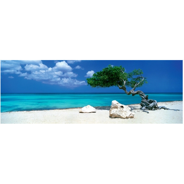 Playa tropical ( Ref:  0000029399 )