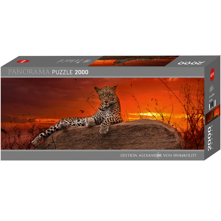 Leopardo a la anochecer ( Ref:  29608 )