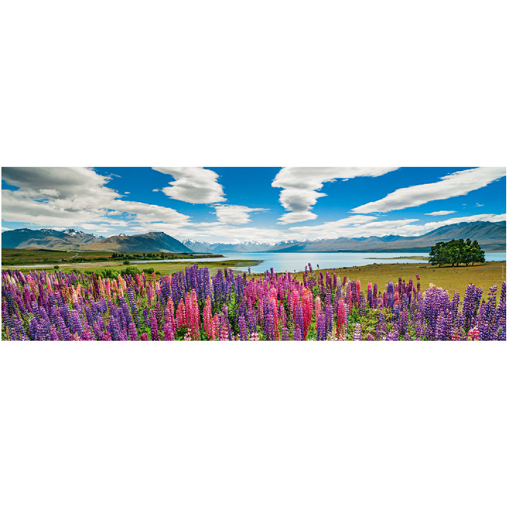 Lago Tekapo ( Ref:  29902 )