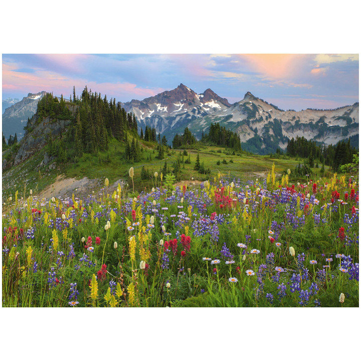 Tatoosh Mountains ( Ref:  29903 )