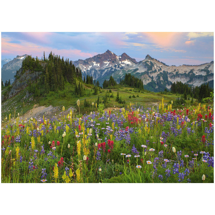 Tatoosh Mountains ( Ref:  0000029903 )