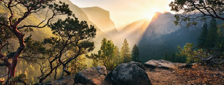 parque yosemite ( Ref:  12000045 )