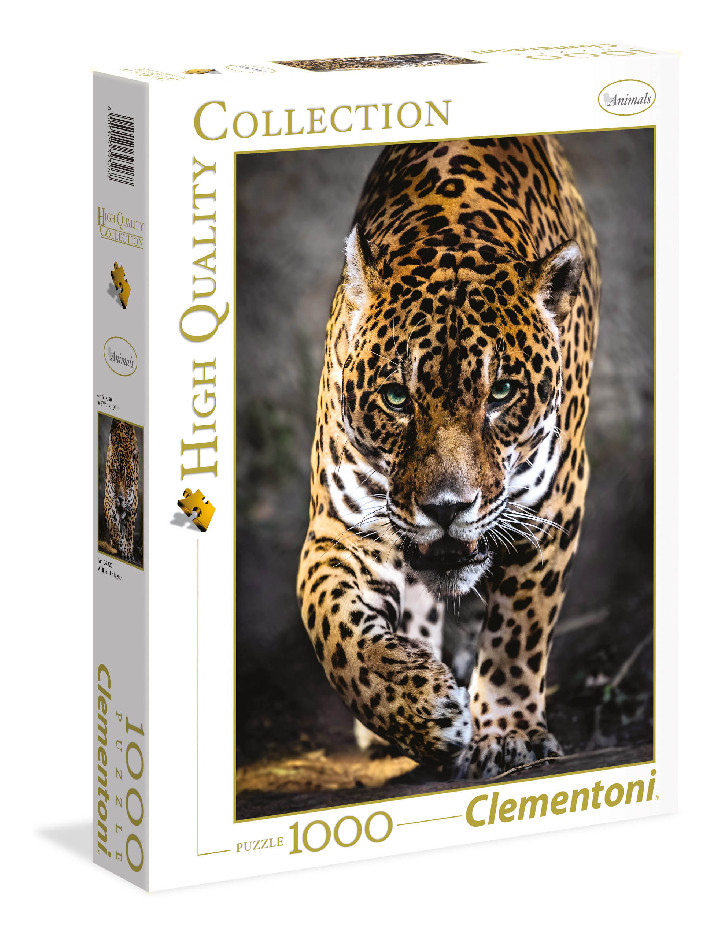 Leopardo