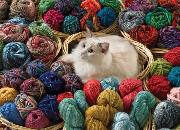 Gato persa entre lanas