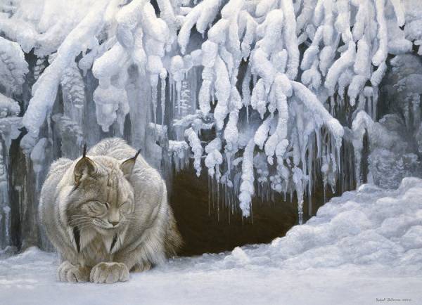 Lince en la nieve