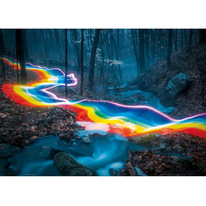 arco iris en el bosque