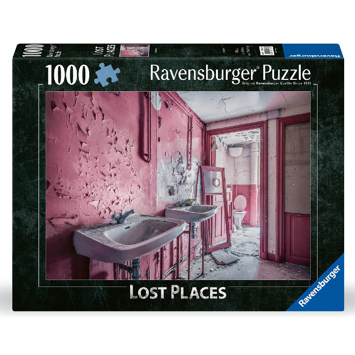 Baño rosa en ruinas ( Ref:  12000273 )