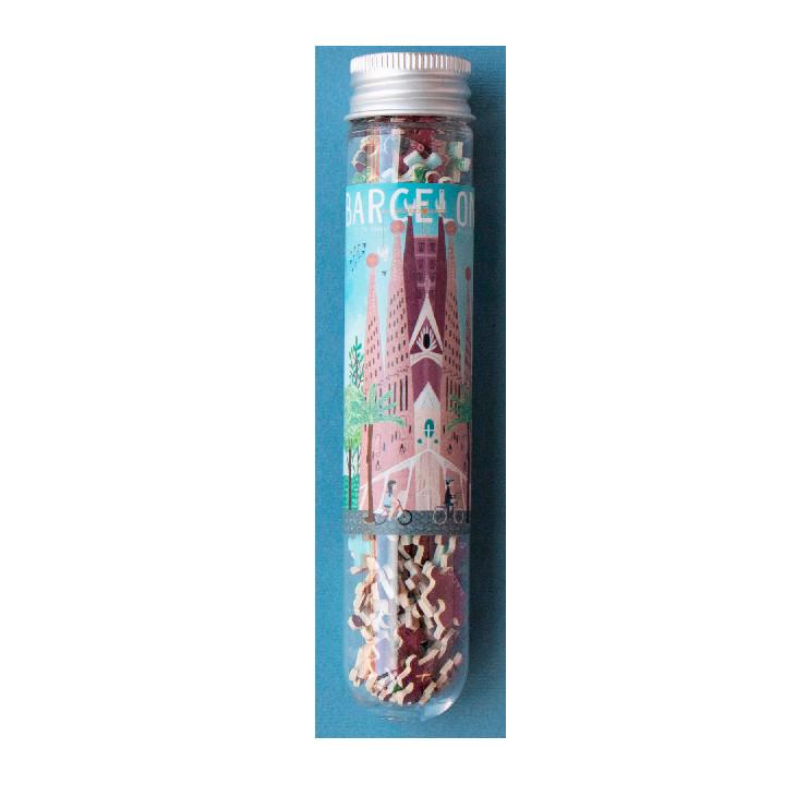 Micro Barcelona Sagrada Familia